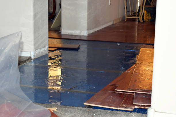 Professional Emergency Water Damage Restoration technician working in Windsor, MO